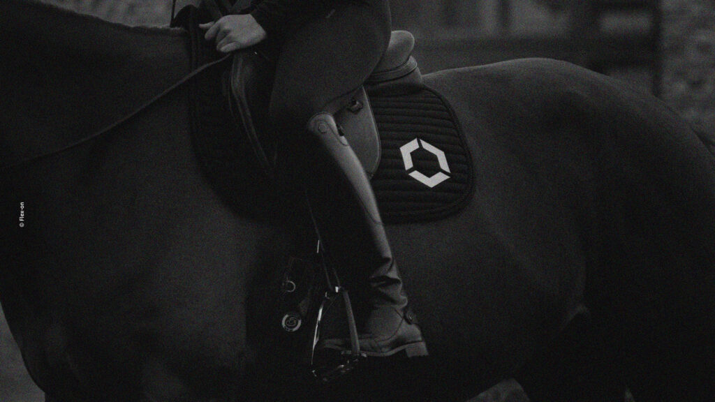 Hexagone Flex-on sur cheval en situation, photographie lifestyle Flex-on · vrai studio